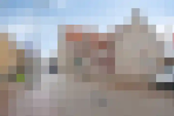 Westelijke Achterweg 10 Sommelsdijk thumbnail 31
