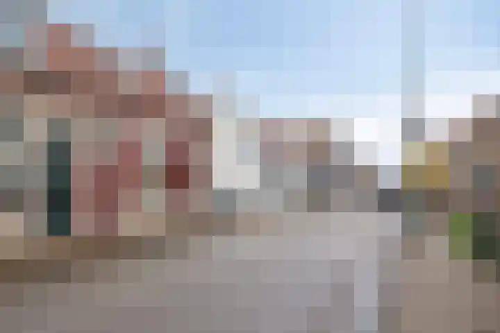 Westelijke Achterweg 10 Sommelsdijk thumbnail 4
