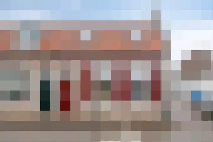 Westelijke Achterweg 10 Sommelsdijk thumbnail 5