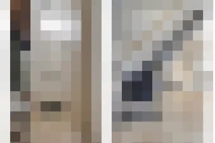 Westelijke Achterweg 10 Sommelsdijk thumbnail 6