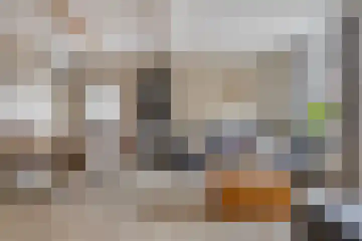 Westelijke Achterweg 10 Sommelsdijk thumbnail 7
