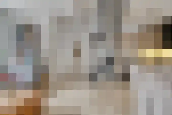 Westelijke Achterweg 10 Sommelsdijk thumbnail 8