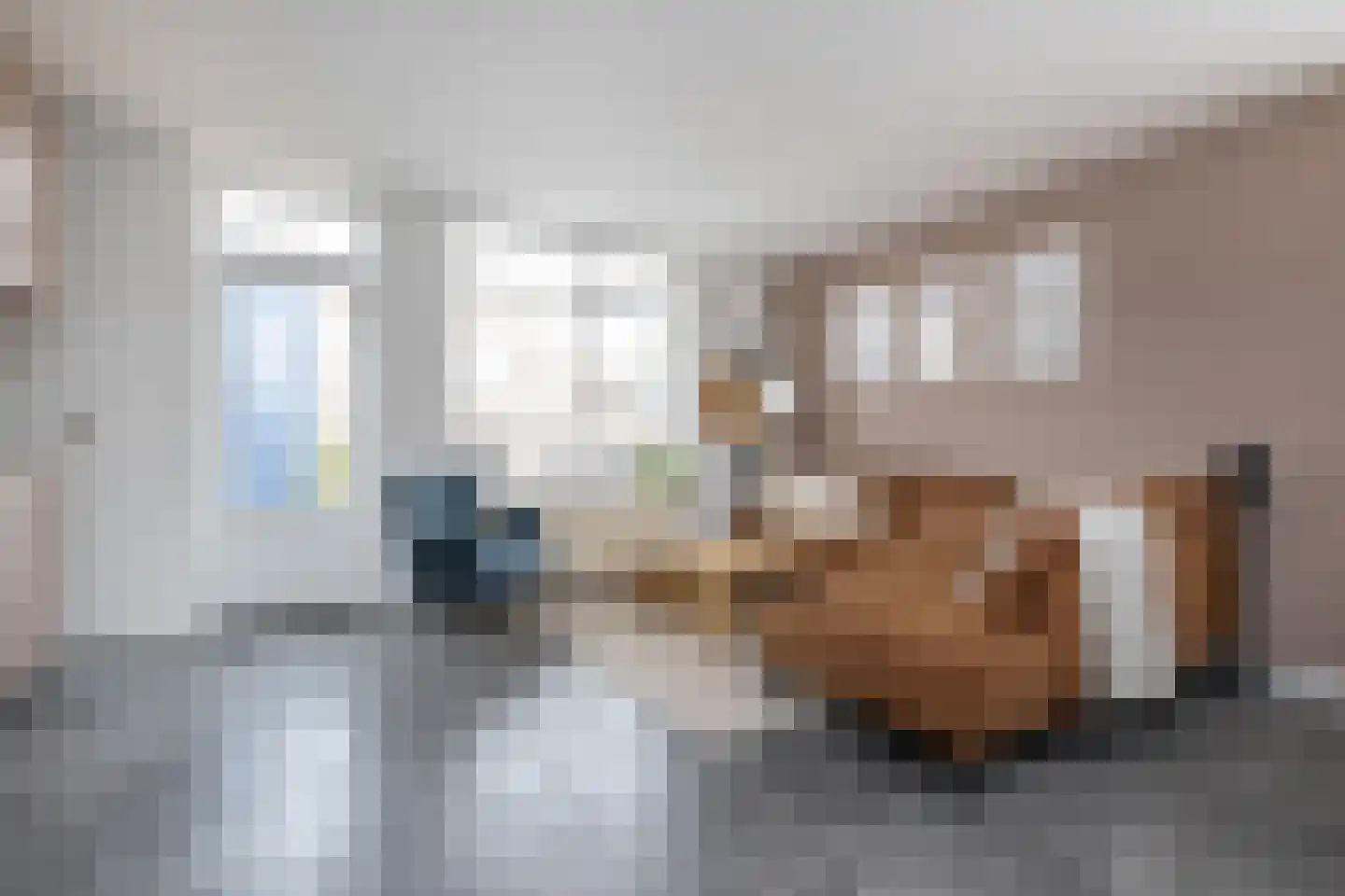 Westelijke Achterweg 18 a Sommelsdijk thumbnail 6