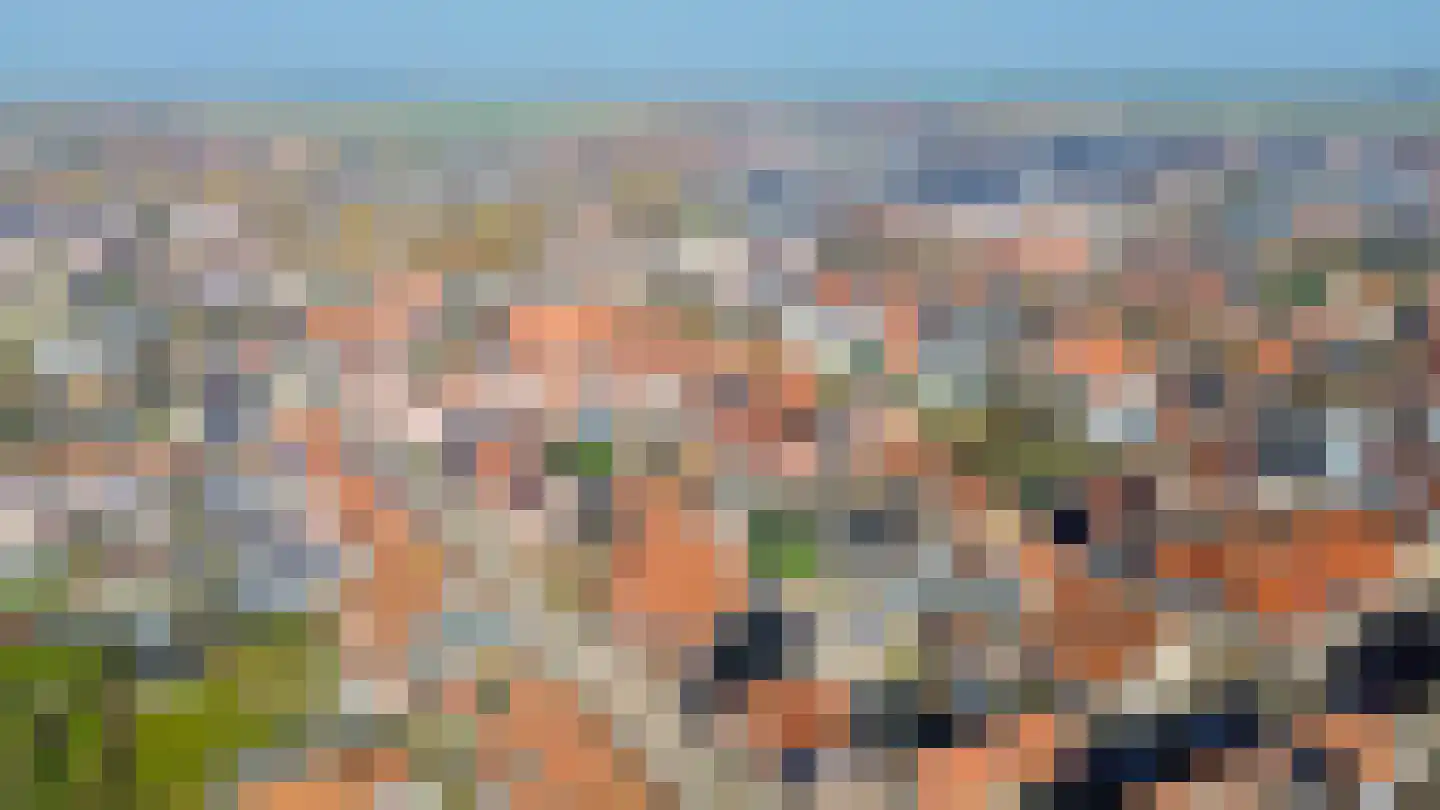 Westelijke Achterweg 22 Sommelsdijk thumbnail 16