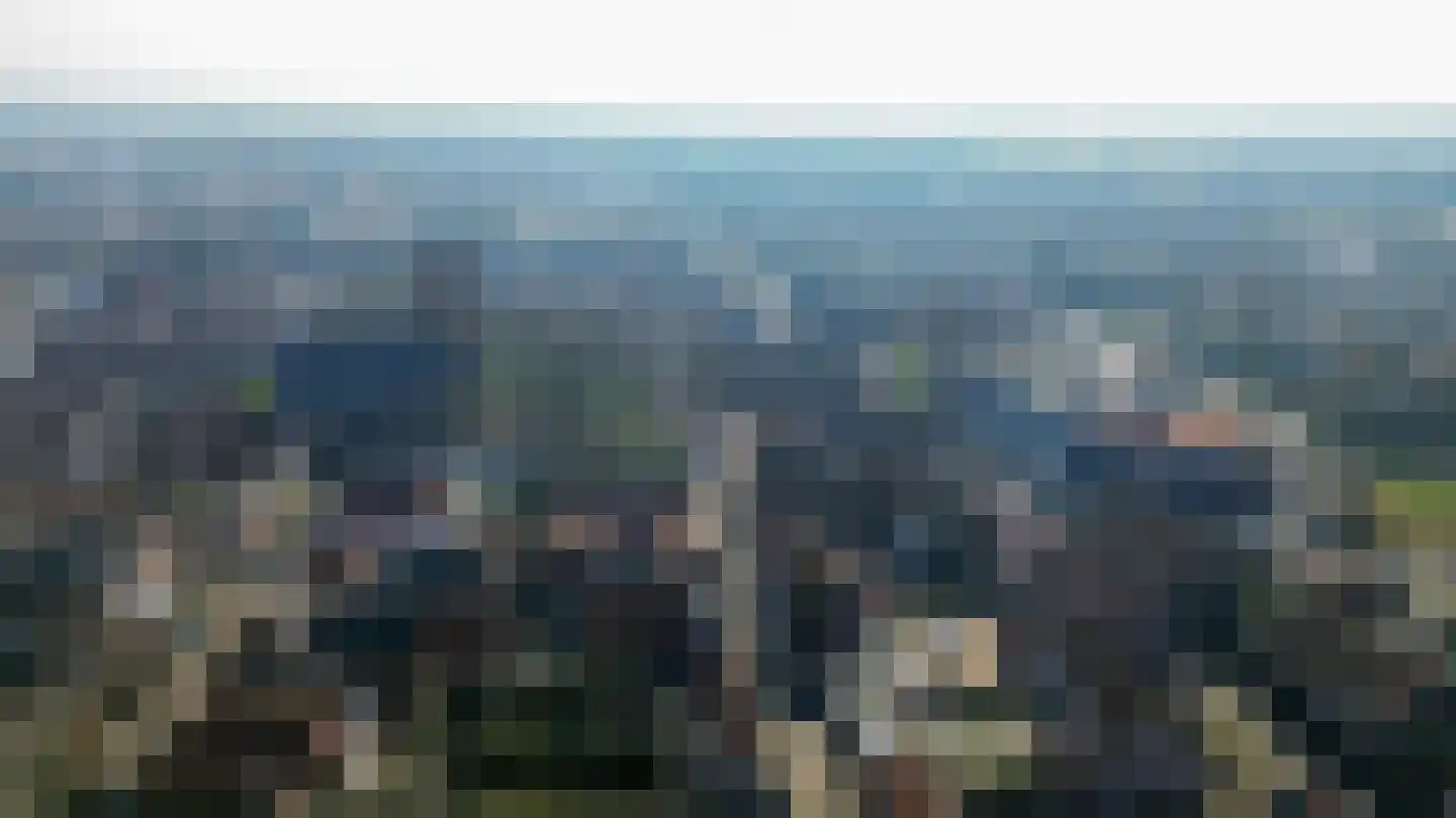 Westelijke Achterweg 22 Sommelsdijk thumbnail 19