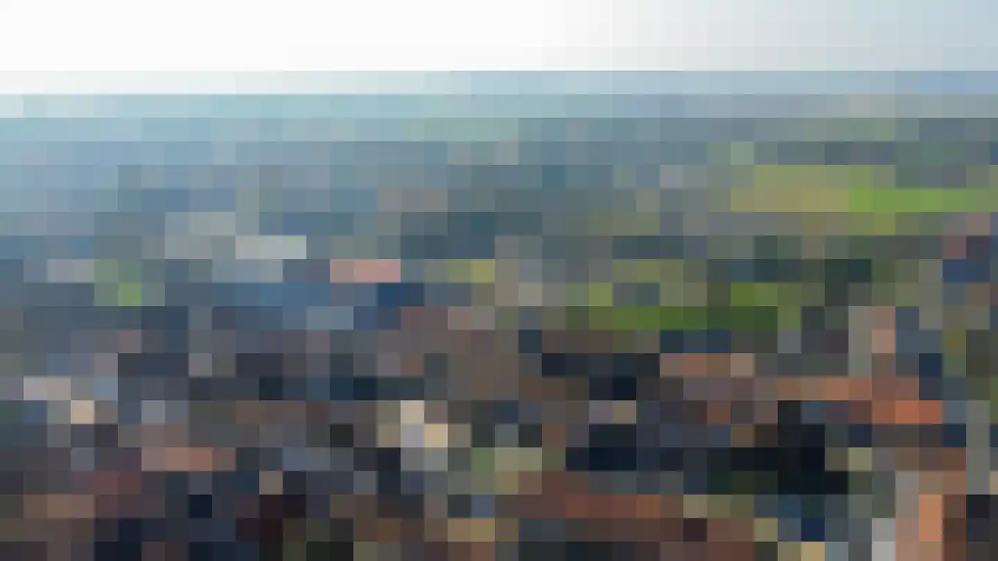 Westelijke Achterweg 22 Sommelsdijk thumbnail 20