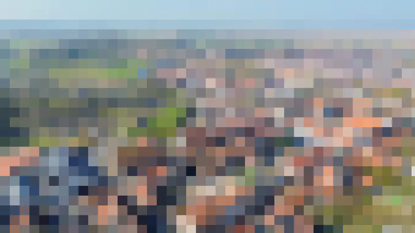 Westelijke Achterweg 22 Sommelsdijk thumbnail 21