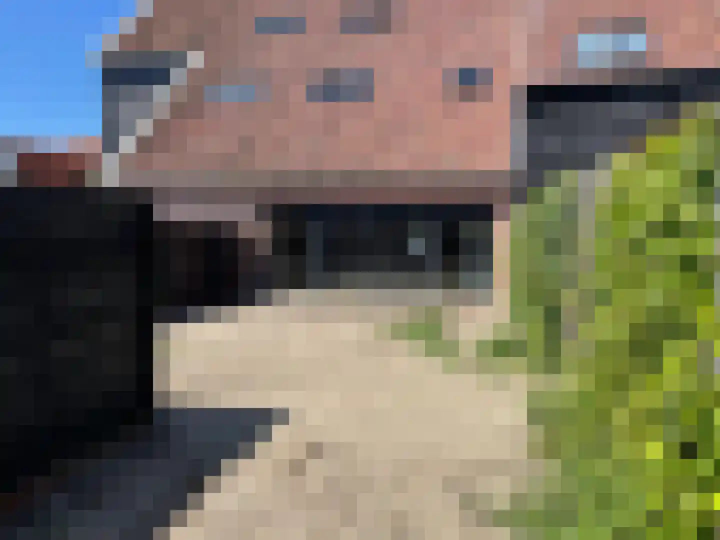 Westelijke Achterweg 22 Sommelsdijk thumbnail 5