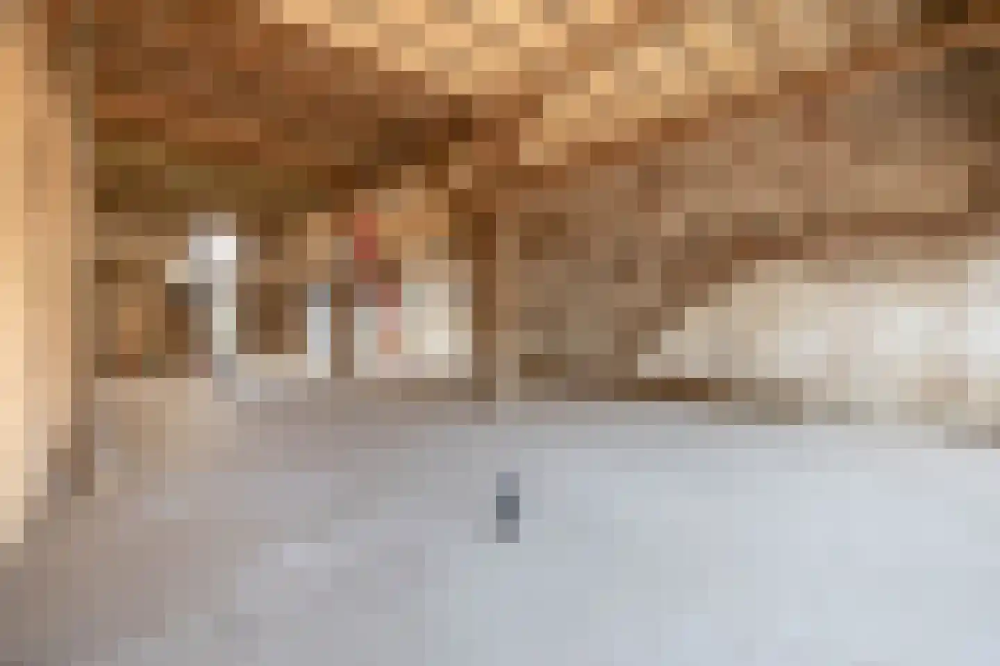 Westelijke Achterweg 22 Sommelsdijk thumbnail 7