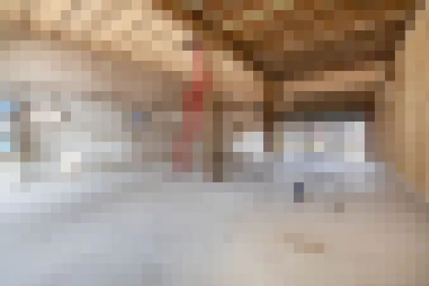 Westelijke Achterweg 22 Sommelsdijk thumbnail 8