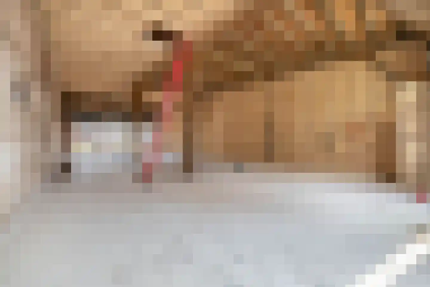 Westelijke Achterweg 22 Sommelsdijk thumbnail 9