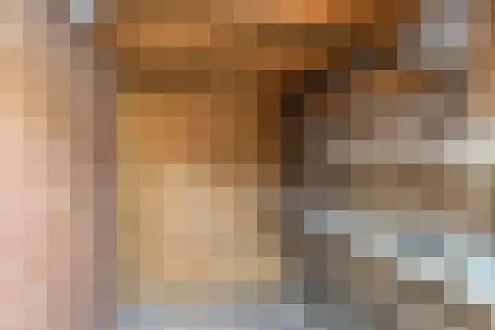 Westelijke Achterweg 25 Middelharnis thumbnail 19