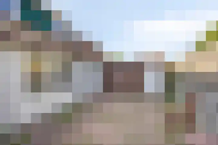 Westelijke Achterweg 25 Middelharnis thumbnail 20