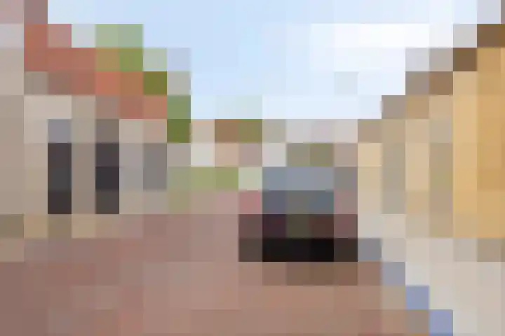 Westelijke Achterweg 25 Middelharnis thumbnail 21