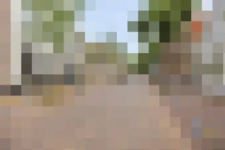 Westelijke Achterweg 25 Middelharnis thumbnail 23