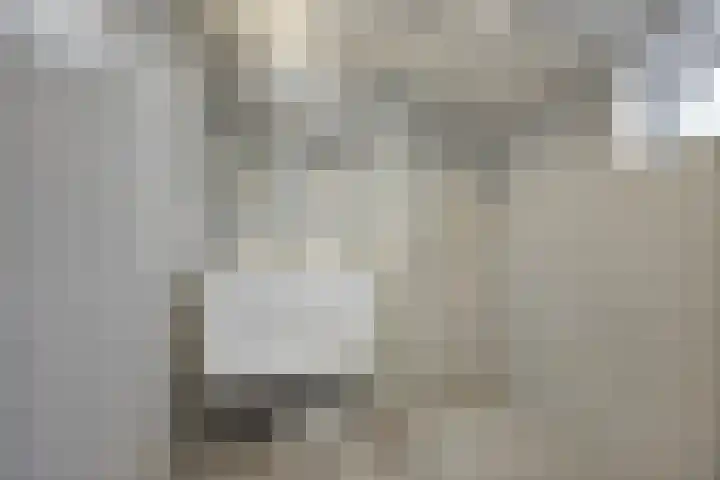 Westelijke Achterweg 25 Middelharnis thumbnail 5
