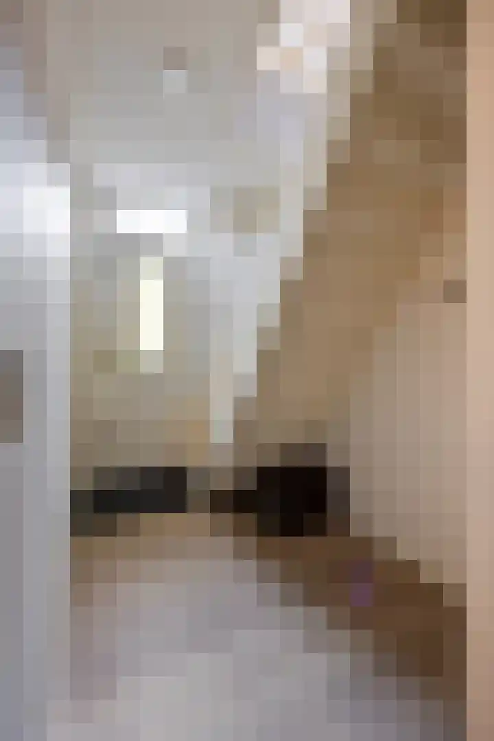 Westelijke Achterweg 25 Middelharnis thumbnail 6