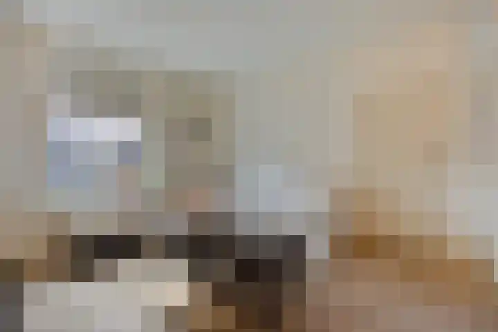Westelijke Achterweg 25 Middelharnis thumbnail 8