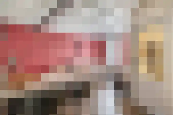Westelijke Achterweg 26 Sommelsdijk thumbnail 10
