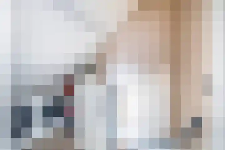 Westelijke Achterweg 26 Sommelsdijk thumbnail 15