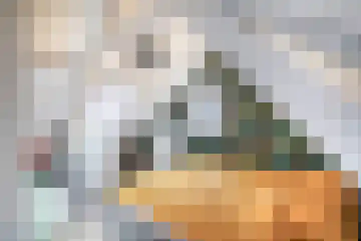 Westelijke Achterweg 26 Sommelsdijk thumbnail 17
