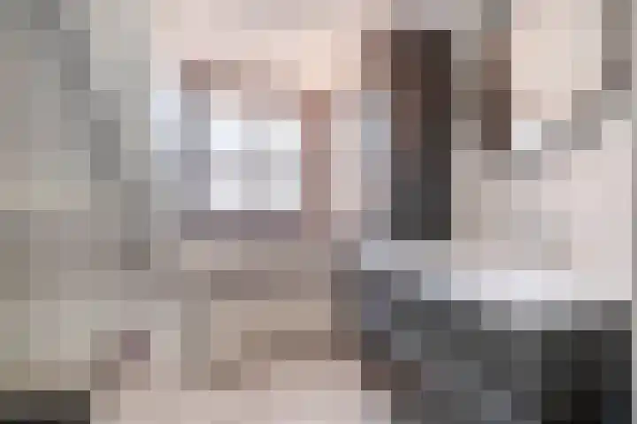 Westelijke Achterweg 26 Sommelsdijk thumbnail 18
