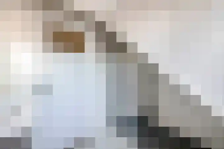 Westelijke Achterweg 26 Sommelsdijk thumbnail 20