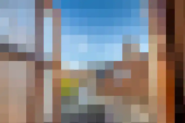 Westelijke Achterweg 26 Sommelsdijk thumbnail 21