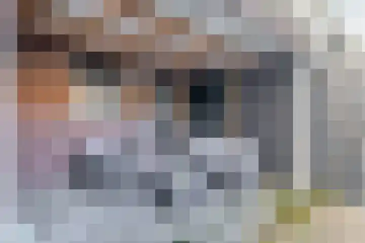 Westelijke Achterweg 26 Sommelsdijk thumbnail 23