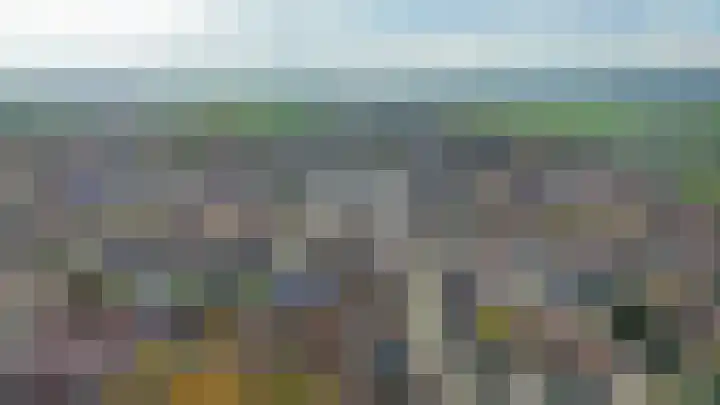 Westelijke Achterweg 26 Sommelsdijk thumbnail 27