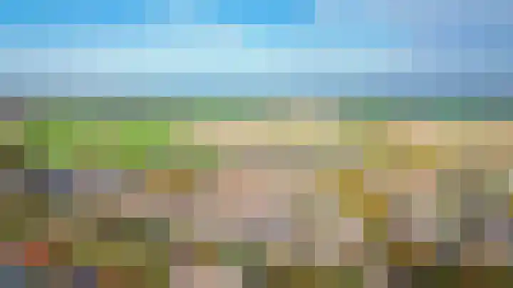 Westelijke Achterweg 26 Sommelsdijk thumbnail 28