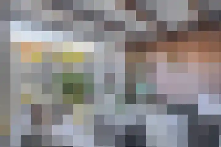 Westelijke Achterweg 26 Sommelsdijk thumbnail 4