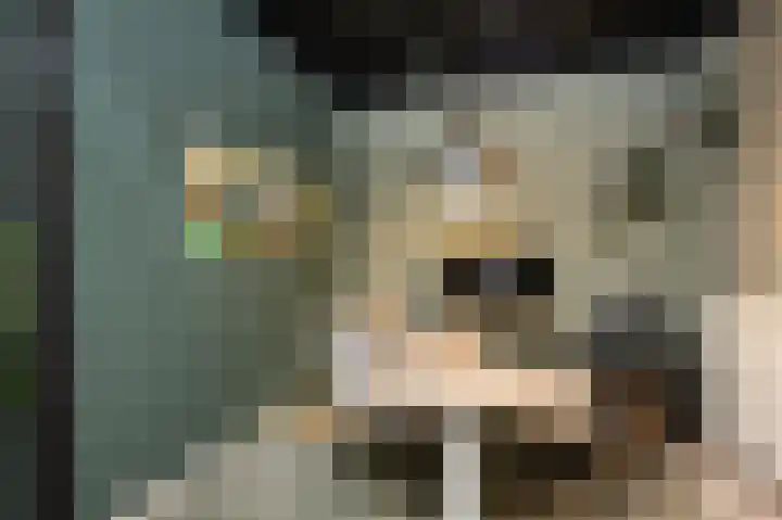 Westelijke Achterweg 30 Sommelsdijk thumbnail 10