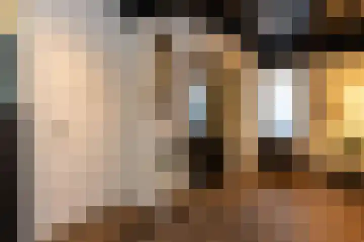 Westelijke Achterweg 30 Sommelsdijk thumbnail 4