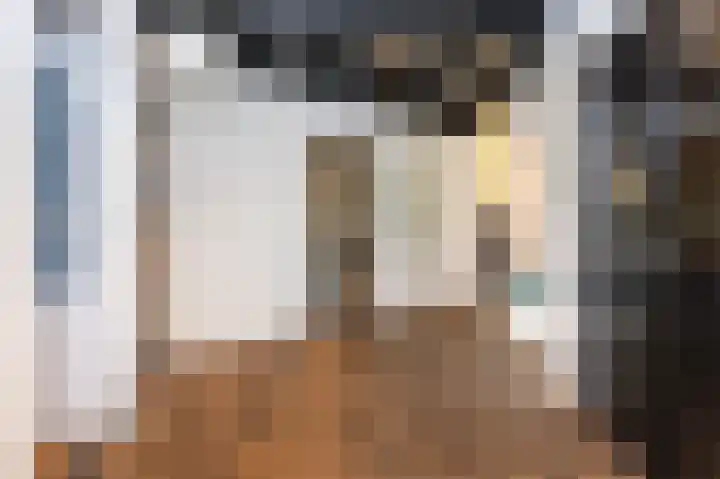 Westelijke Achterweg 30 Sommelsdijk thumbnail 6