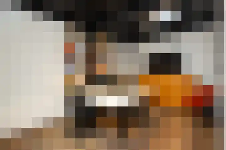 Westelijke Achterweg 30 Sommelsdijk thumbnail 8