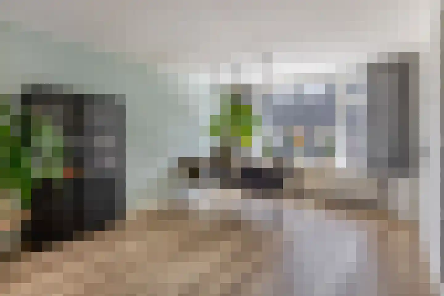 Westelijke Achterweg 41 Sommelsdijk thumbnail 11