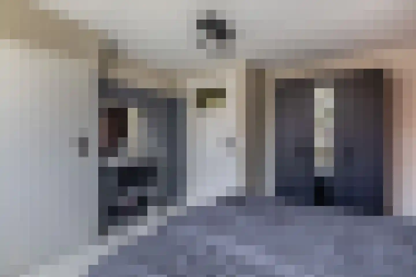 Westelijke Achterweg 41 Sommelsdijk thumbnail 20