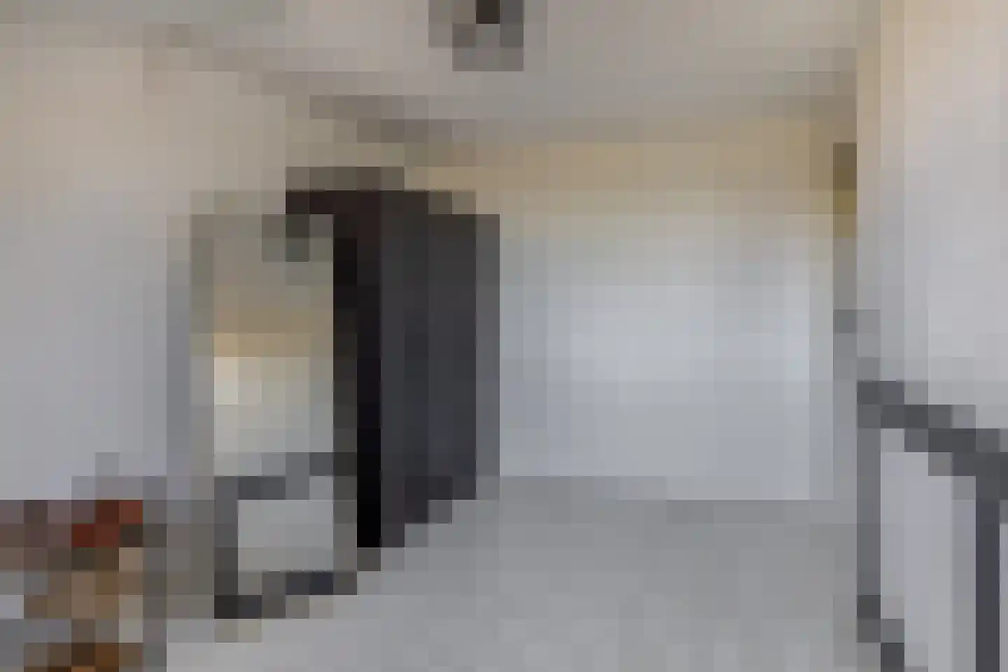 Westelijke Achterweg 41 Sommelsdijk thumbnail 22