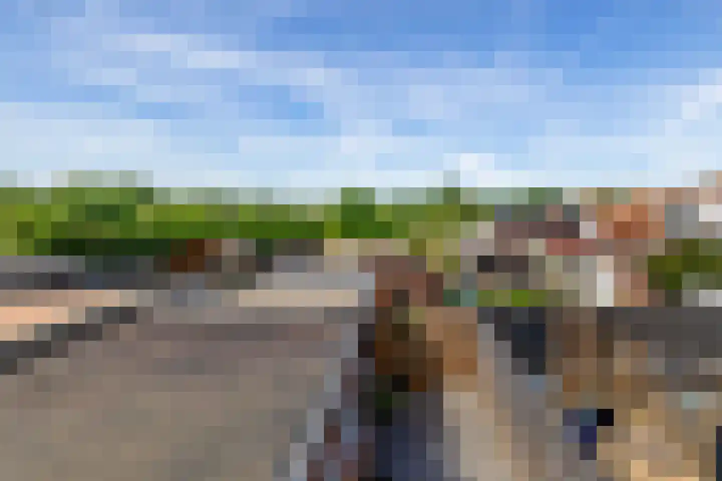 Westelijke Achterweg 41 Sommelsdijk thumbnail 24