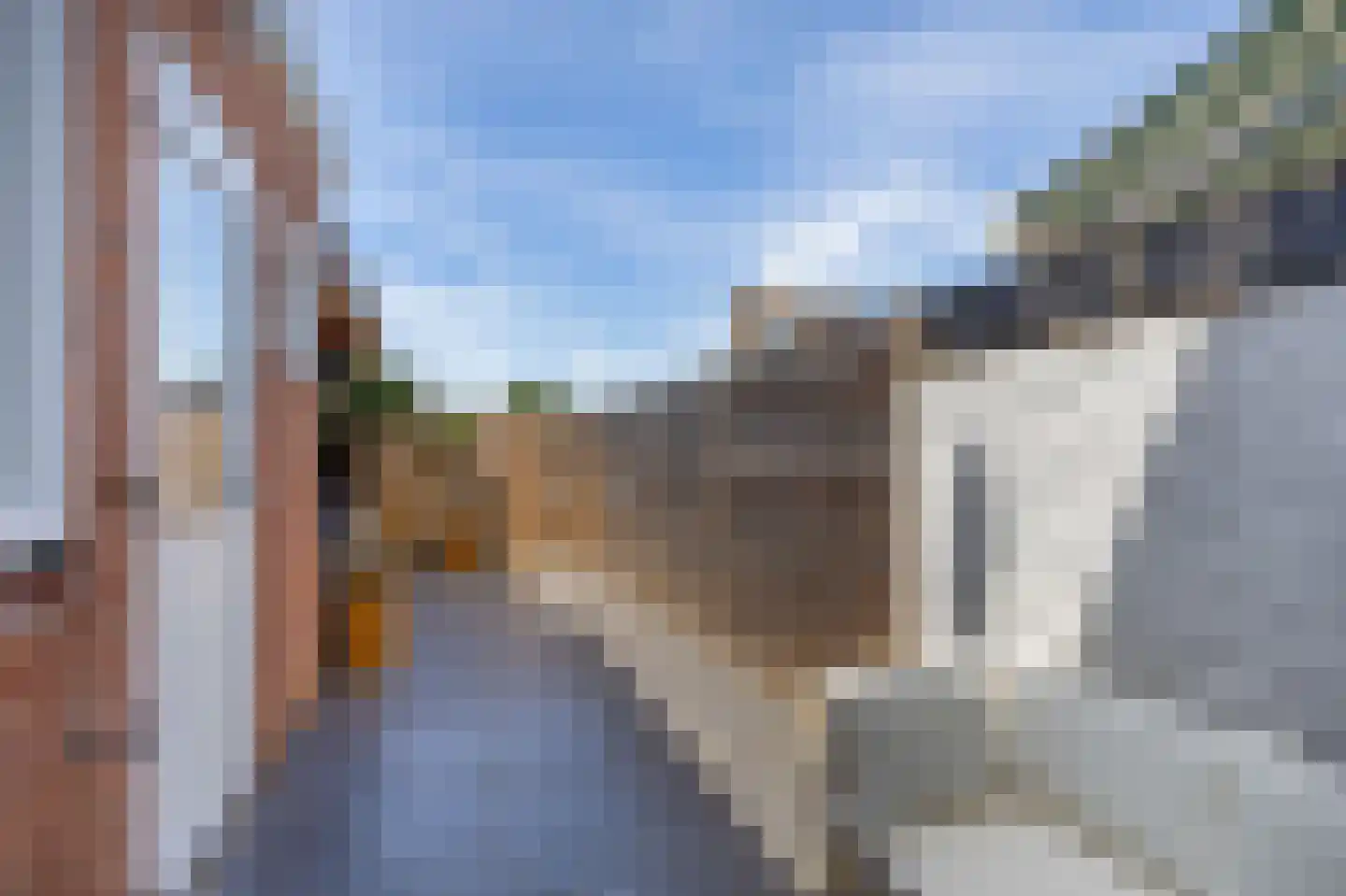 Westelijke Achterweg 41 Sommelsdijk thumbnail 26