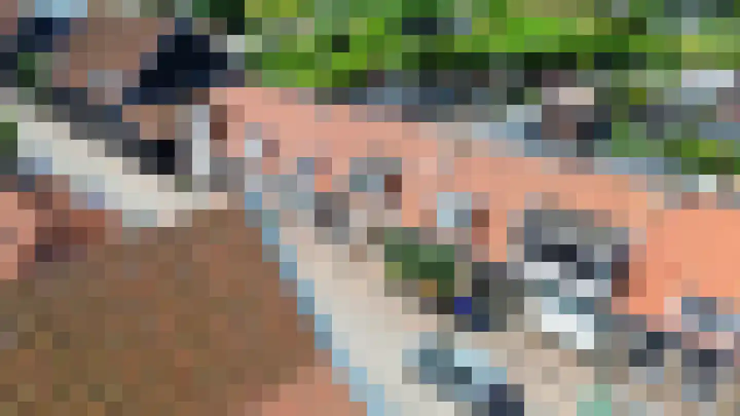 Westelijke Achterweg 41 Sommelsdijk thumbnail 31