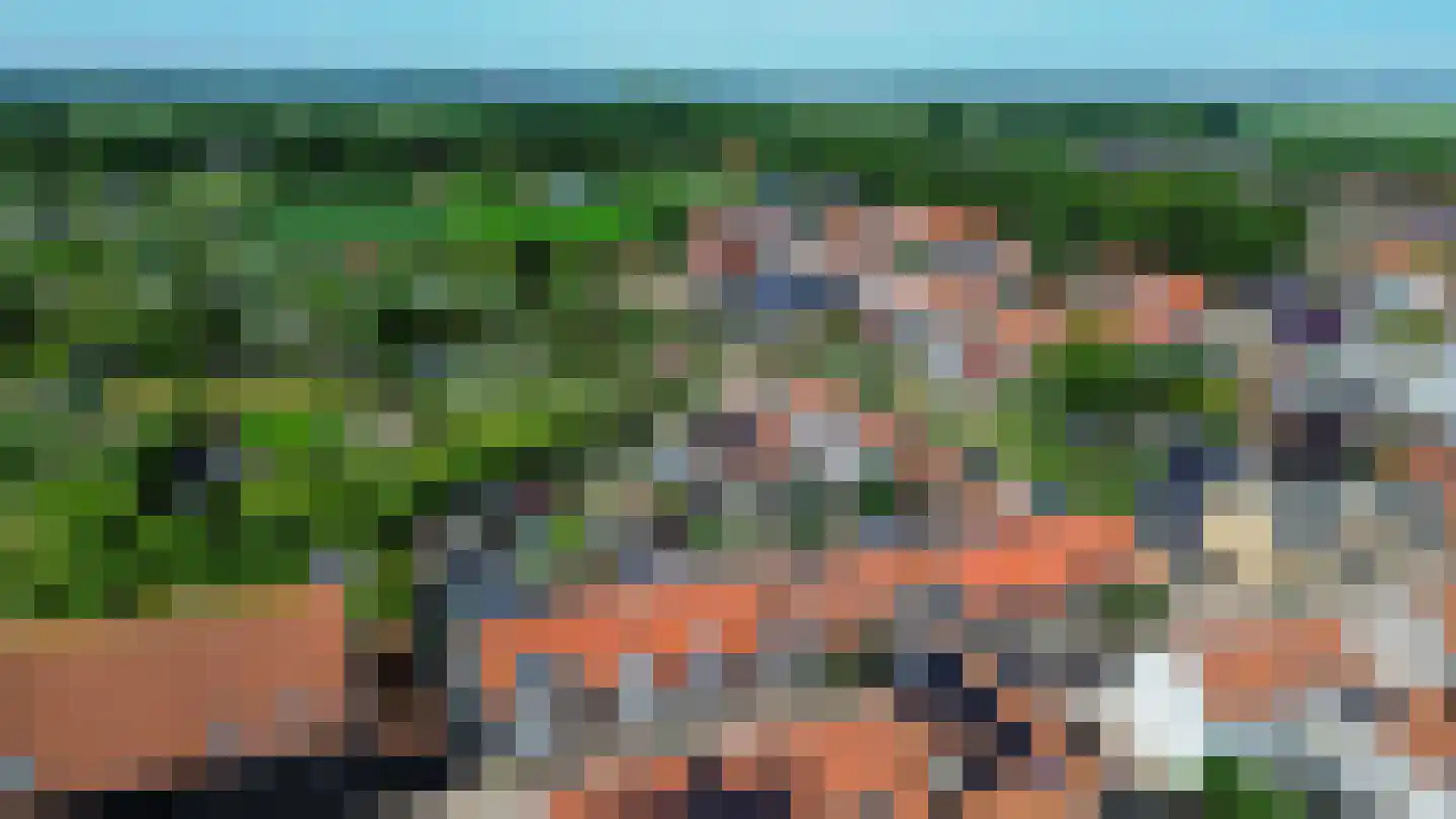 Westelijke Achterweg 41 Sommelsdijk thumbnail 33