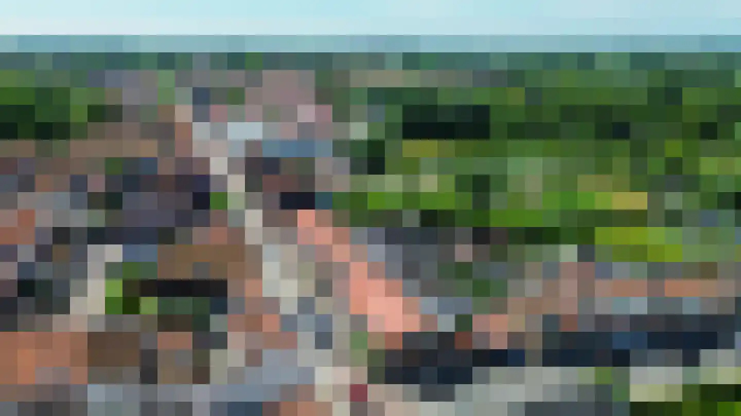 Westelijke Achterweg 41 Sommelsdijk thumbnail 35