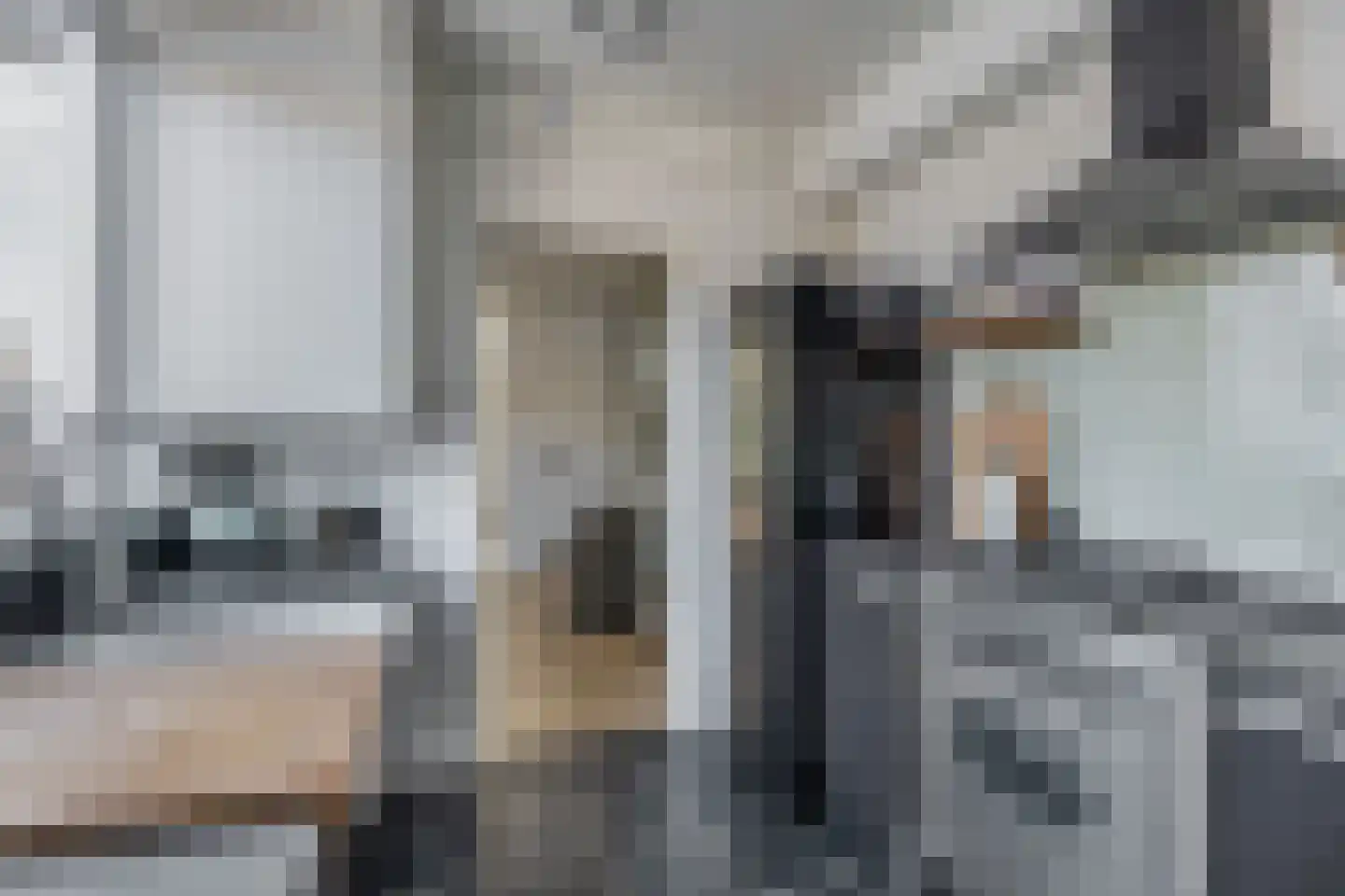 Westelijke Achterweg 41 Sommelsdijk thumbnail 4