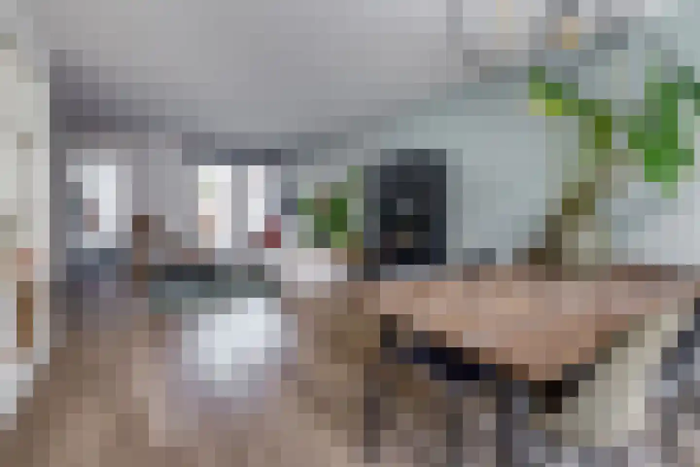 Westelijke Achterweg 41 Sommelsdijk thumbnail 8