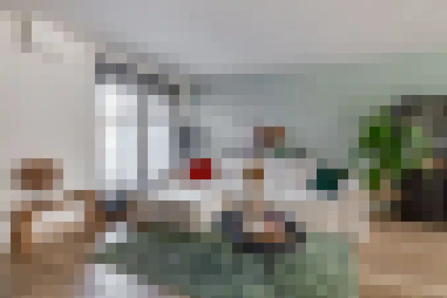 Westelijke Achterweg 41 Sommelsdijk thumbnail 9