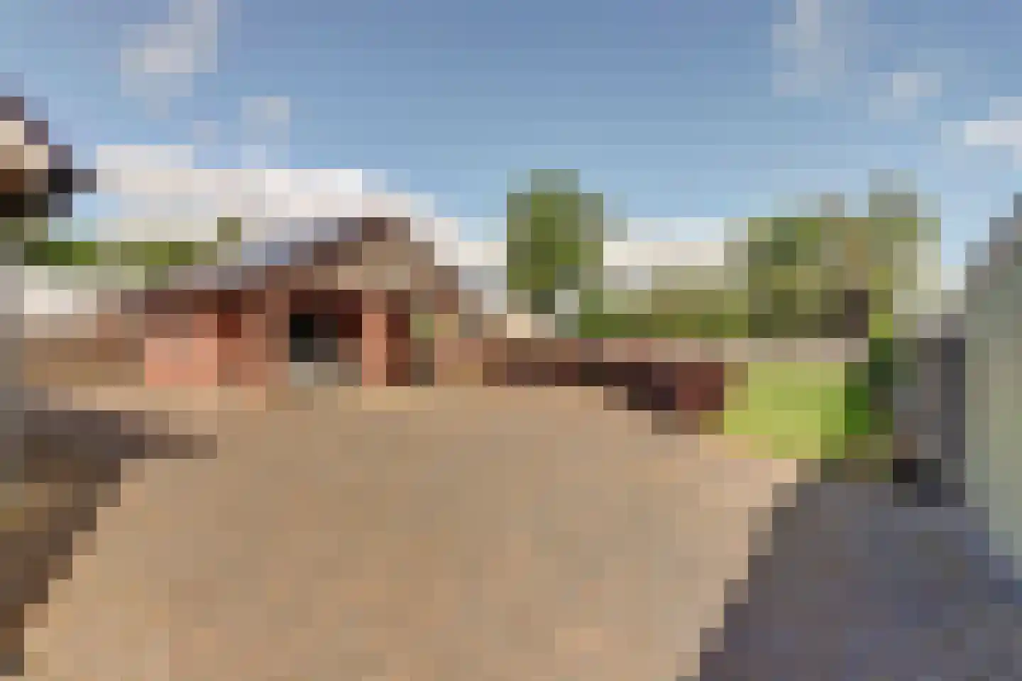 Westelijke Doorsnee NZ 110 Emmer-Compascuum thumbnail 33