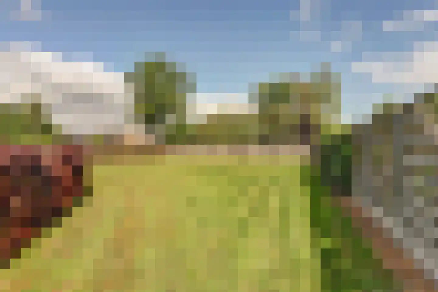 Westelijke Doorsnee NZ 110 Emmer-Compascuum thumbnail 34