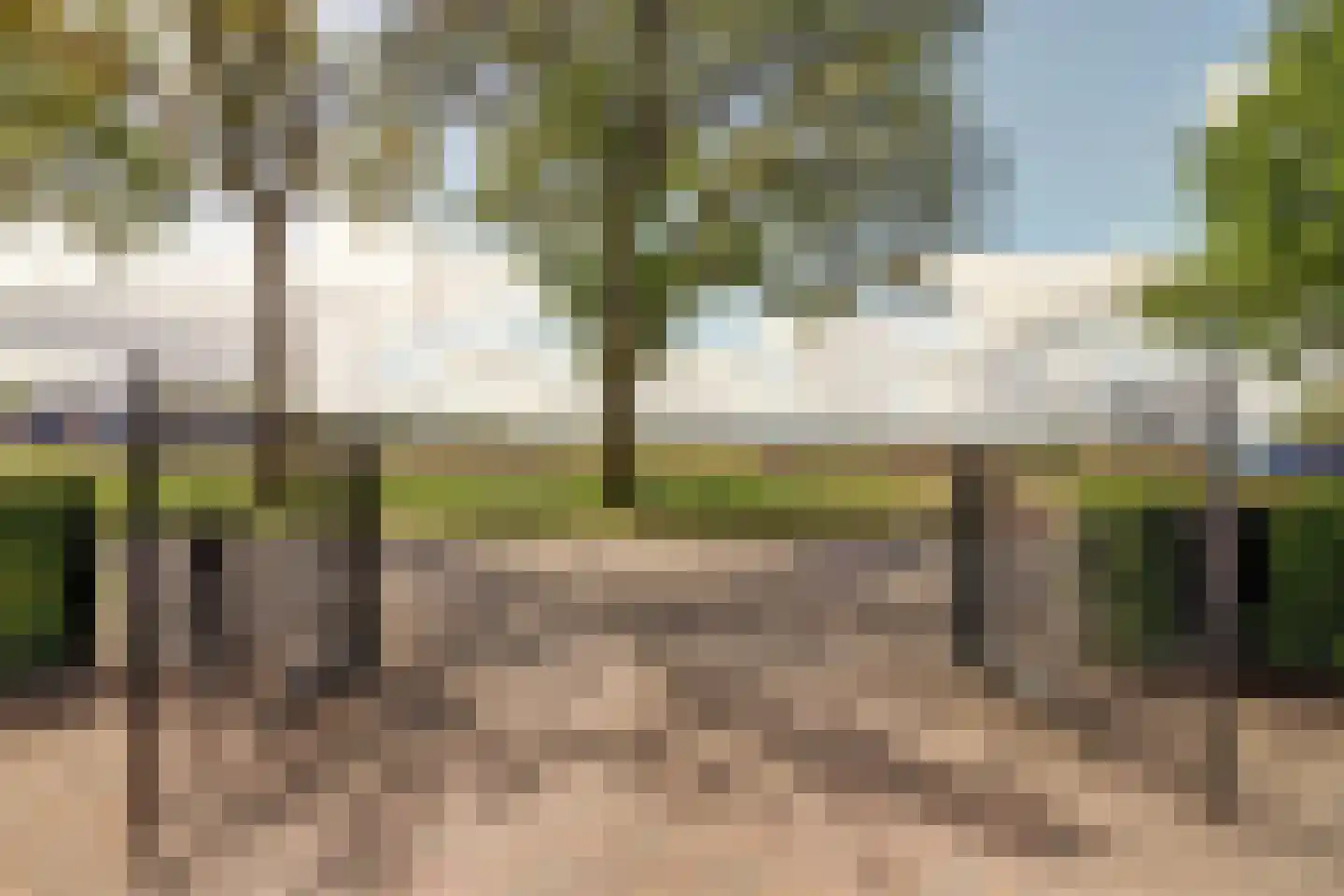 Westelijke Doorsnee NZ 110 Emmer-Compascuum thumbnail 39